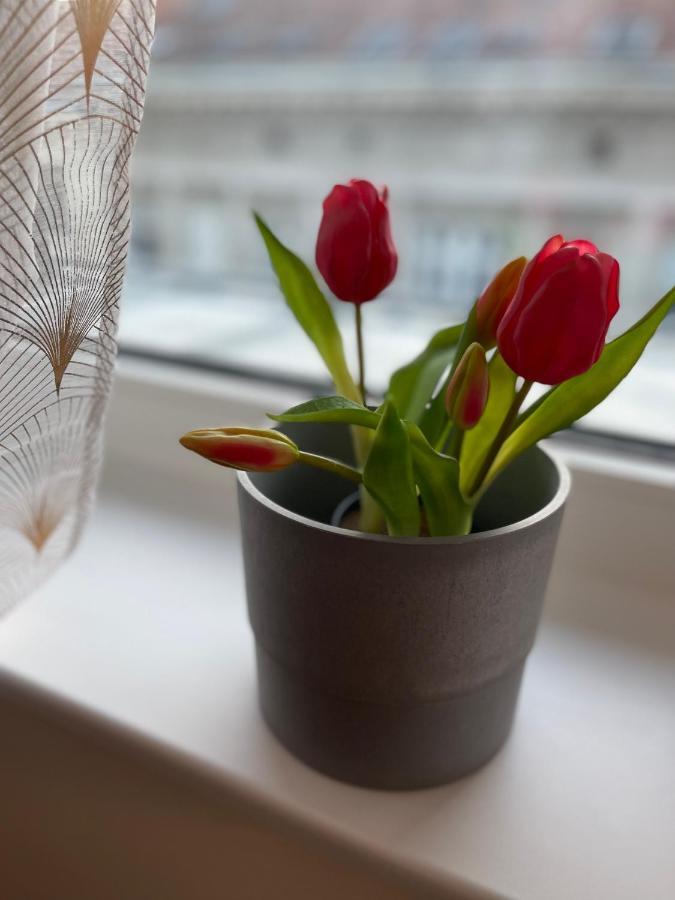 Mollart Apartment Bécs Kültér fotó